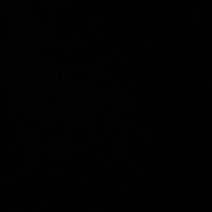 Meet your Posher, Antwaun